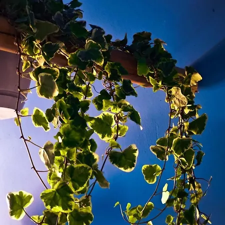 Atlas With Shared Bathroom 布拉迪斯拉发