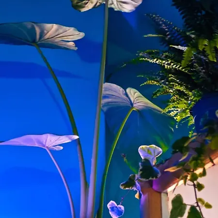 Atlas With Shared Bathroom * Μπρατισλάβα